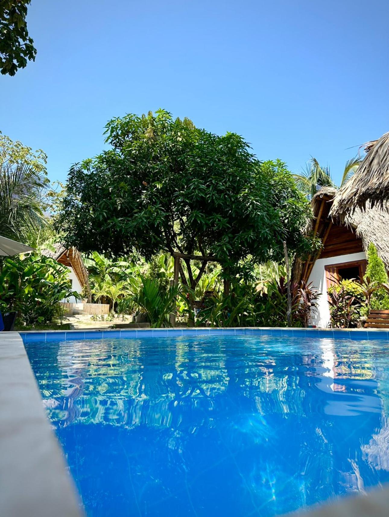 אל סאינו Eco Hotel Amanecer Tayrona מראה חיצוני תמונה