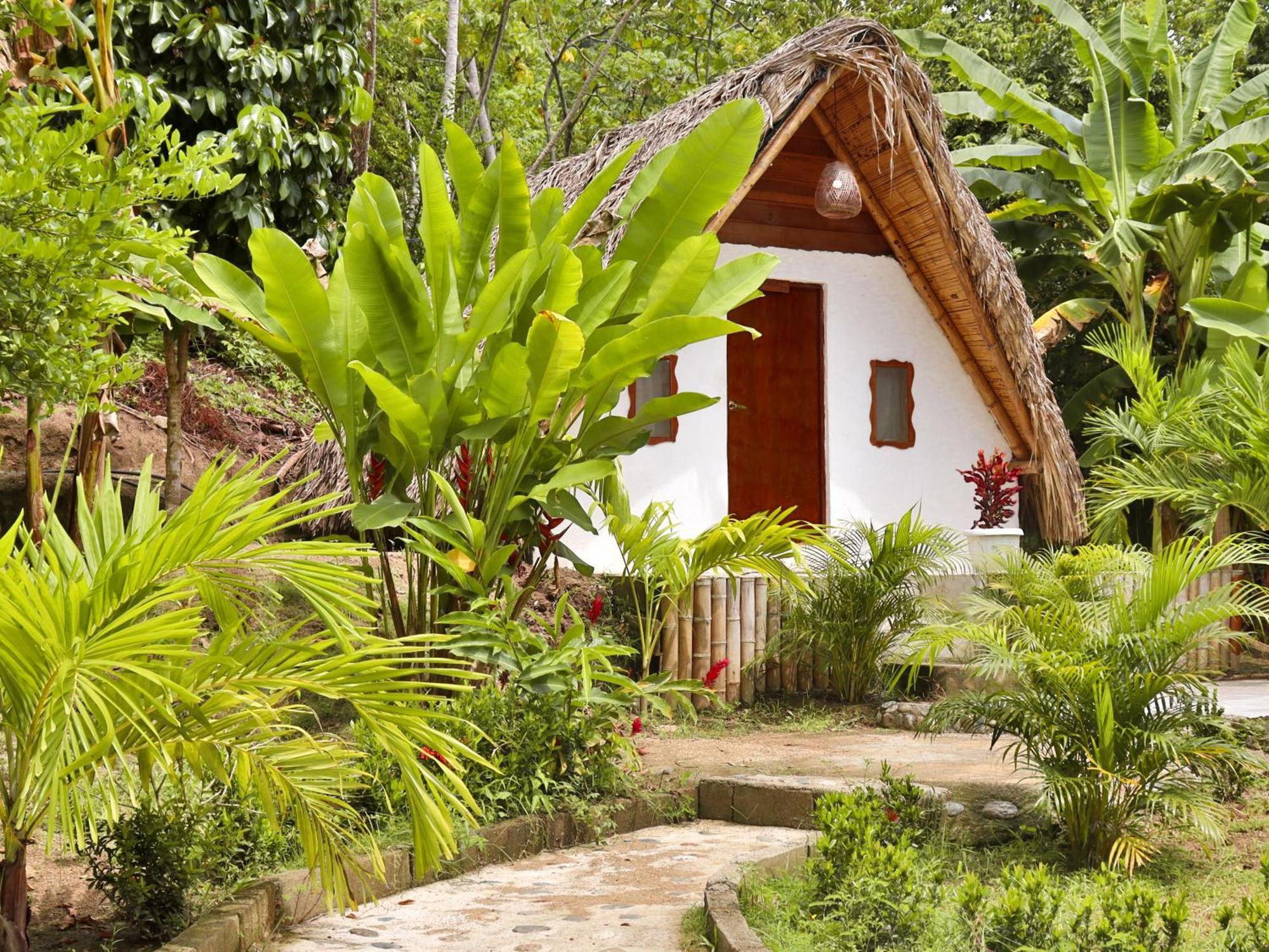 אל סאינו Eco Hotel Amanecer Tayrona מראה חיצוני תמונה
